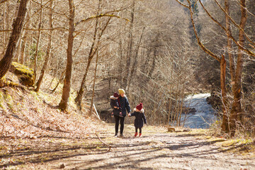 Obraz premium a mother with two children is walking along a forest path in the mountains. traveling and walking with kids. vacation in the winter.