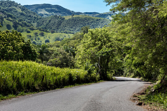 dramatic image of a typical caribbean m,ountain road high in the country of th dominican republic.