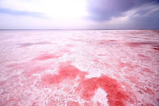 Fantastic pink lake Sasyk Siwash, Retba, Hutt Lagoon. Lake Hillier. Salt from a pink lake, macro photo. An unearthly landscape.