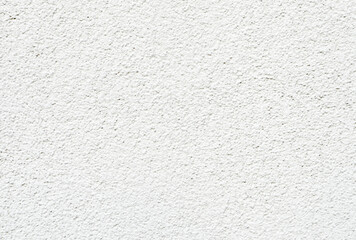 White wall background.