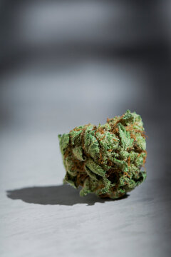 Marijuana Bud on Concrete