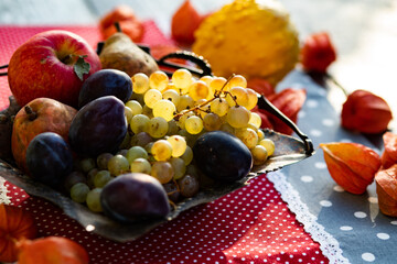 fresh autumn fruits and vegetables thanksgiving