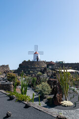 Lanzarote / Spain - September 9, 2020: Jardin de cactus, created by Cesar Manrrique on the volcanic island of Lanzarote, Canary Islands