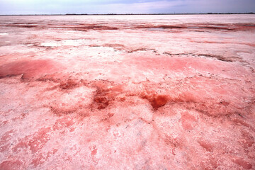 Fantastic pink lake Sasyk Siwash, Retba, Hutt Lagoon. Lake Hillier. Salt from a pink lake, macro photo. An unearthly landscape.