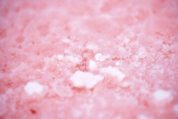 Fantastic pink lake Sasyk Siwash, Retba, Hutt Lagoon. Lake Hillier. Salt from a pink lake, macro photo. An unearthly landscape.
