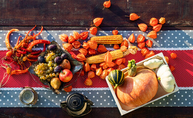 fresh autumn fruits and vegetables thanksgiving