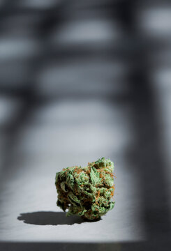 Marijuana Bud on Concrete