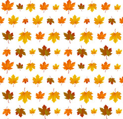 Autumn leaf pattern. Fall leaf decoration. Autumn background with maple leaf. Vector