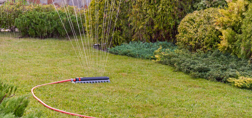 The lawn in the home garden is watered with sprinklers