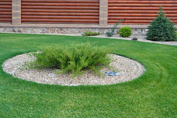 A round flower bed of stones with a juniper in the center