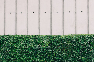 Man-made and natural barriers