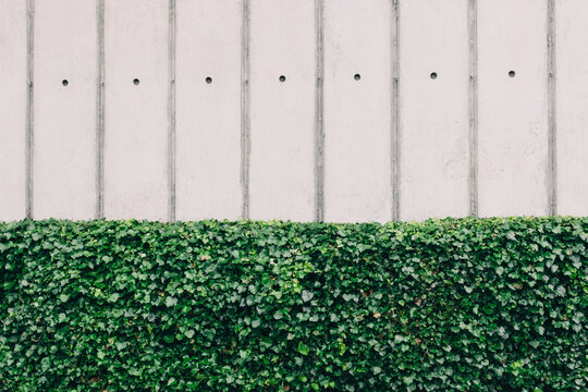 Man-made and natural barriers