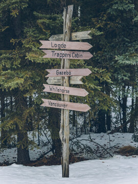 wooden five arrow direction signs post