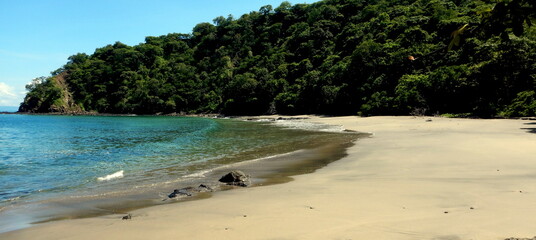 Costa Rica Pacific sea life