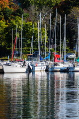 Fototapeta na wymiar Group of moored sailboats reflecting in the water