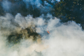 Forest Fire or Wildfire, Aerial View. Burning Wood Land with many Smoke.