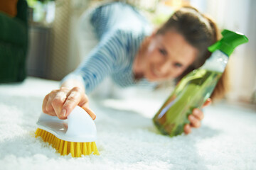 modern housewife with cleaning agent and brush clean carpet