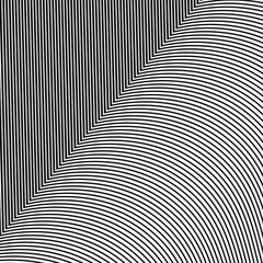 Abstract white background of thin black lines. Vector illustration.