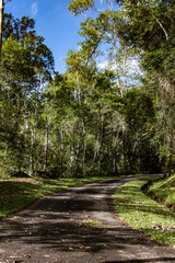 landscape nature