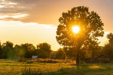 Sun sets behind a lone tree on the side of the road in the countryside at sunset. Beautiful landscape at sunset in the countryside. Tree with the sun at sunset.