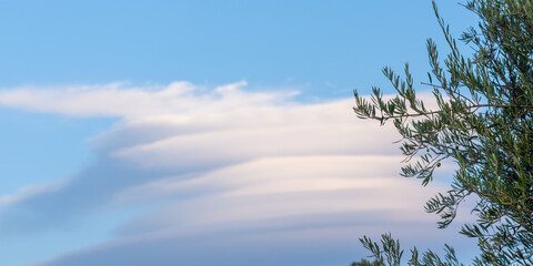 Lenticular clouds over olive trees in Andalucia at sunset