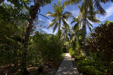 Obraz premium Nature Tokoriki Island Fiji