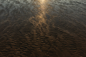 Beautiful sunset on the sand beach coast in Denmark. Sunny nature background. Clear sky with sun