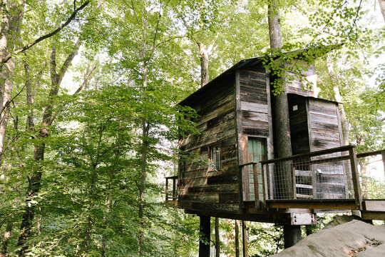 Wooden treehouse in the green woods in summer
