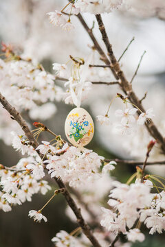 Easter egg in blossom tree
