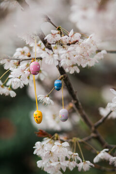Little egg ornaments