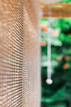 Summer garden: patio shaded with bamboo blinds