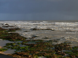 quand la marée remonte ...
