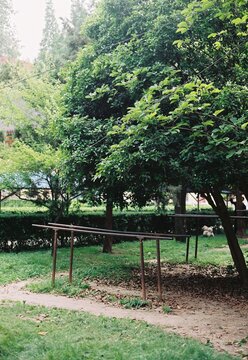 parallel bars
