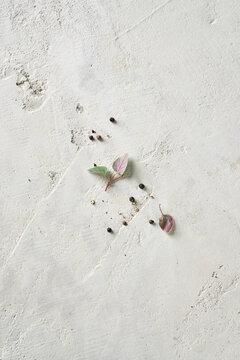 Fresh cut oregano and cracked black pepper