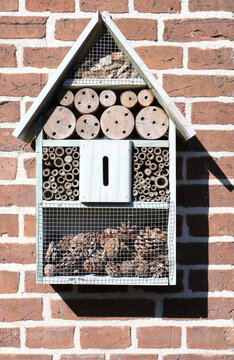 Insect hotel