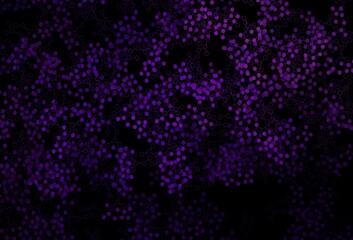 Dark Purple, Pink vector texture with artificial intelligence concept.