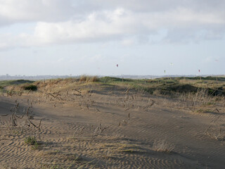 dunes plage de saint Michel chef chef.