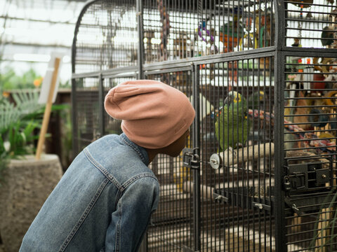 Young boy looking at a Parrot in its cage