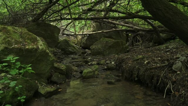 streaming waterfalls in Bechir's Creek near Soroca, Moldova