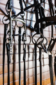 Horse Tack