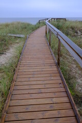 beach, summer, autumn, wood trail, nature, sea, green, blue