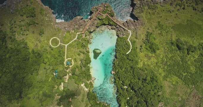 Top down of designed path at azure lake on green cliff sea shore aerial view. Greenery tropical meadow with trees, grasses on ocean coast. Epic landscape of Weekuri landmark, Sumba Island, Indonesia