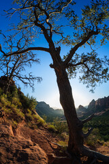 Beautiful sunset from Merry Go Round Rock in Sedona, Arizona