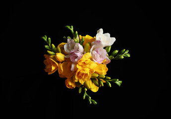 Bouquet of beautiful freesia flowers on black background, top view