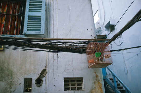 Shabby house and birdcage