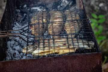 trout is cooked on coals. with smoke and smell