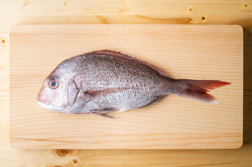 Tai, japanese seabream on wooden cutting board