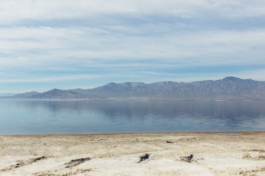 Salton Sea Beach