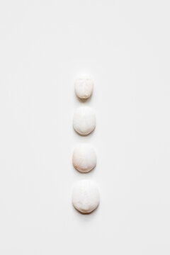 simple row of sea biscuits on a white background