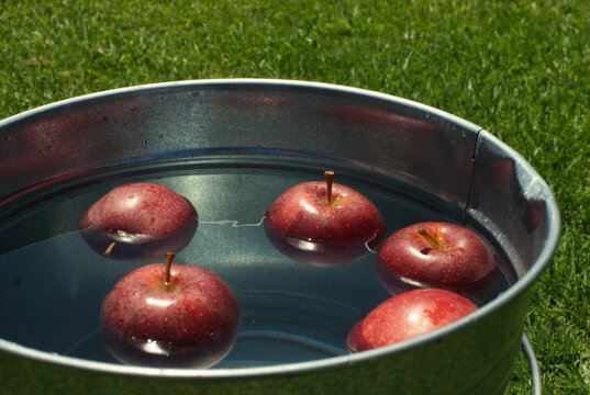 Apples floating a in bucket of water.